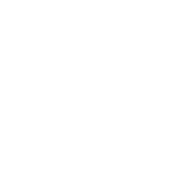 SFMINE Logo